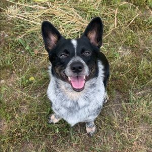 Meet your Posher, Adria